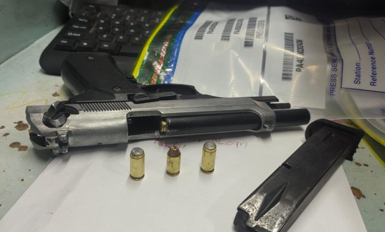 Western Cape Police Seize Firearms, Ammunition