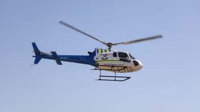 Suspects Killed in Police Shootout in Stoffelpark
