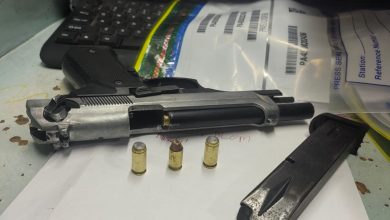 Western Cape Police Seize Firearms, Ammunition