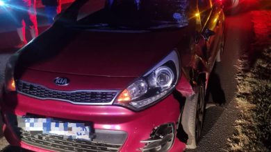 Pedestrian Fatally Injured in N12 Collision Near Pansy Road