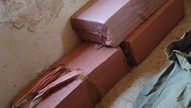 Cracking down on corruption and illegal border activities