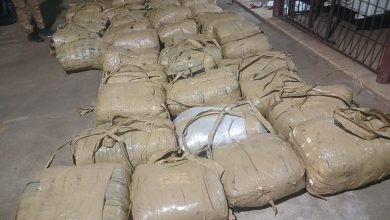 How police stop large dagga operations