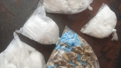 Joint police operation successfully arrests drug dealer in Polokwane