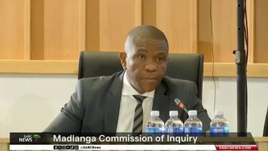 Madlanga Commission's plan to sort out justice issues