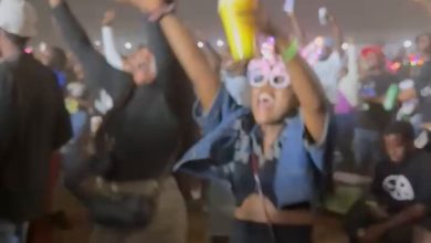 Royal Heritage Festival Buzzing with Energy