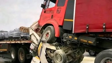 Hold a mass funeral to honour R81 tragedy victims