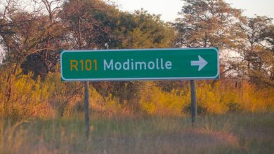Reporting licence fraud successfully leads to arrests in Modimolle Limpopo