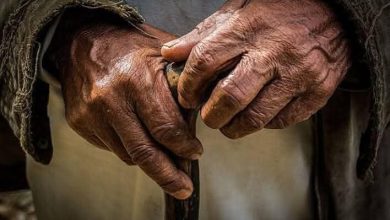 Securing a life sentence for rape through DNA evidence in Limpopo