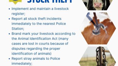 Two men aged 31 and 38 arrested in Limpopo Saturday, October 18, over stolen livestock to face Dzanani court