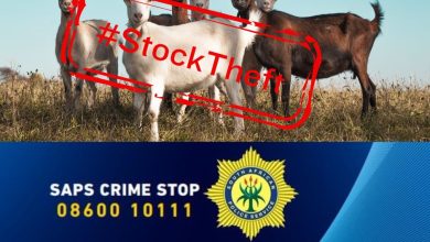 Using community information to solve Tubatse stock theft