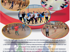 Wellness day event announced for 2025