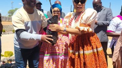 Dr Ramathuba and Sekhukhune district plant trees to feed South Africa