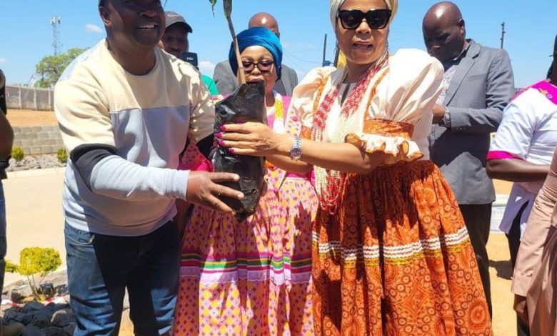Dr Ramathuba and Sekhukhune district plant trees to feed South Africa