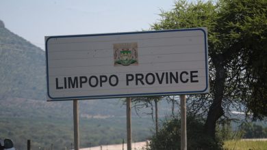 Dr Ramathuba celebrates Limpopo job boom as 29.8% rate revealed on 11 November 2025