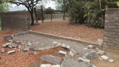 Elephants wreck four homes in Phalaborwa South on 11 November