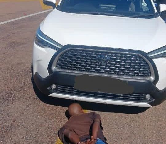 Thembi Hadebe praises seven jailed in Limpopo for cigarette crimes November 11-13