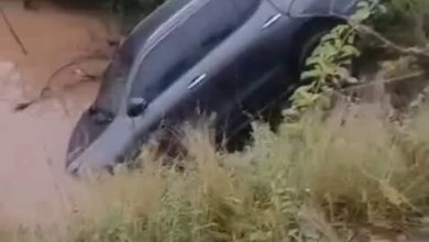 Border shock as SANDF recovers R1.4m Fortuner smuggled from Gauteng