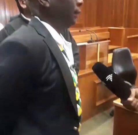 Court blocks bid to derail Limpopo ANC conference as it goes ahead