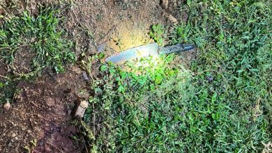 Goat carcass theft shock: 25-year-old man arrested in Sefihlogo, Limpopo, due in court