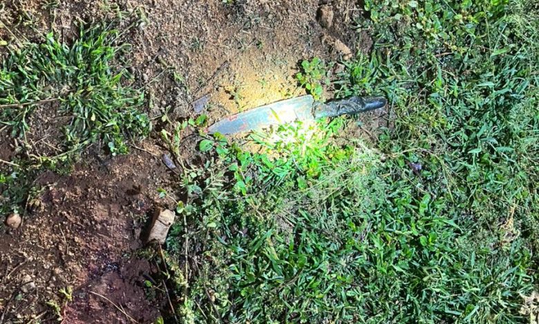Goat carcass theft shock: 25-year-old man arrested in Sefihlogo, Limpopo, due in court