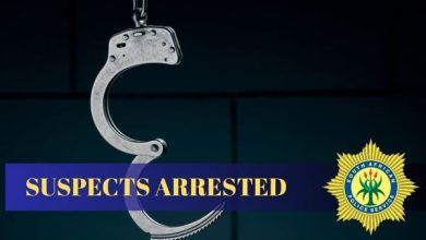 Hoedspruit police nab four men over stolen car, unlicensed gun and wildlife crimes.