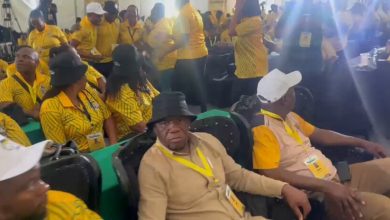 Limpopo ANC unveils new 2026-2030 leadership and 30-strong PEC lineup