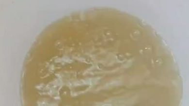 Mookgophong water crisis: taps dry after heavy rain turns raw water brown