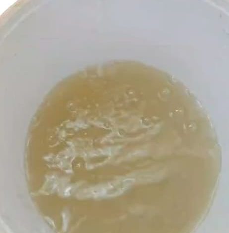 Mookgophong water crisis: taps dry after heavy rain turns raw water brown