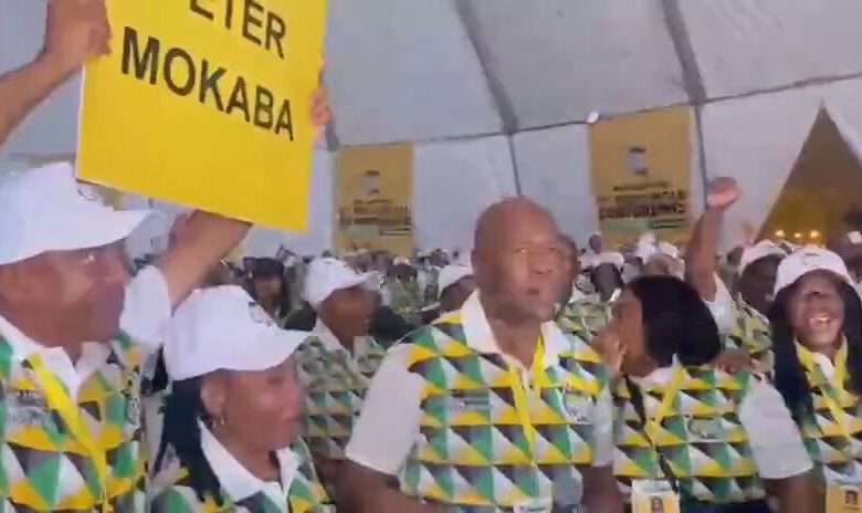Polokwane mayor in shock bid for Limpopo ANC deputy chair