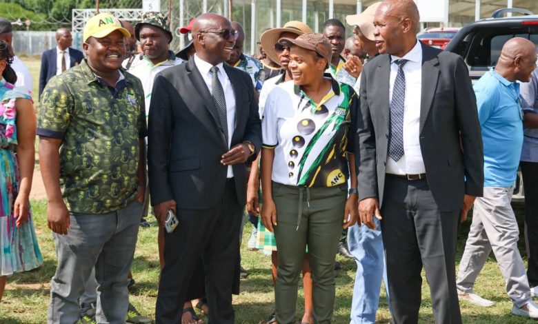 Urgent court bid to halt ANC Limpopo conference over branch meeting irregularities.