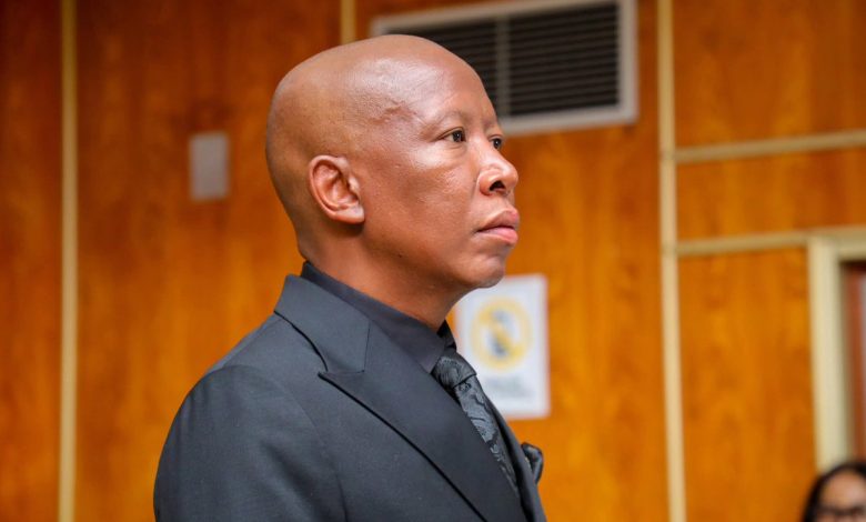 Julius Malema given five-year jail term over gun offences