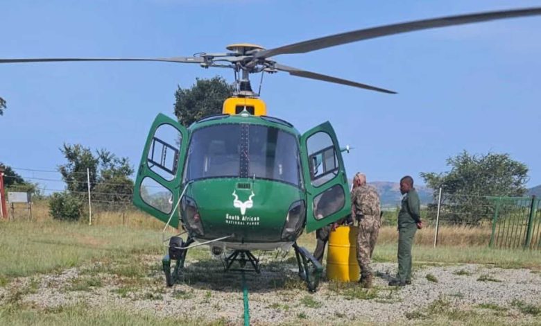 Kruger helicopter missing found safe as four crew survive ordeal