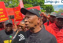 Limpopo EFF vows a non-violent push after Malema verdict, blasts Zuma