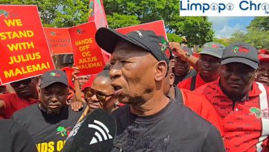 Limpopo EFF vows a non-violent push after Malema verdict, blasts Zuma