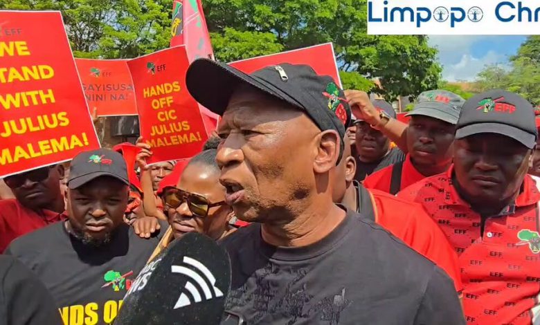 Limpopo EFF vows a non-violent push after Malema verdict, blasts Zuma