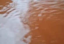 Limpopo Flood Crisis: Towns Stranded as Mayor Set to Visit Disaster Zone