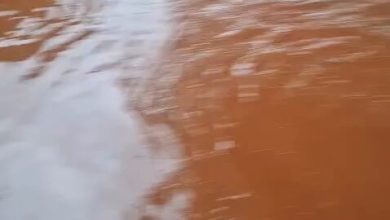 Limpopo Flood Crisis: Towns Stranded as Mayor Set to Visit Disaster Zone