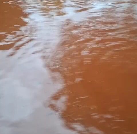 Limpopo Flood Crisis: Towns Stranded as Mayor Set to Visit Disaster Zone