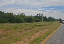 Three elephants halt traffic on the R578 near Phalaborwa, Limpopo