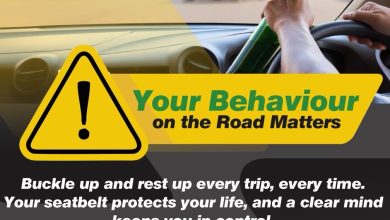 Limpopo premier calls for safe driving during long weekends