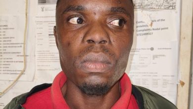 Two Limpopo men jailed for cross-border vehicle thefts worth up to R900k as cars were allegedly ferried to Beitbridge Port of Entry