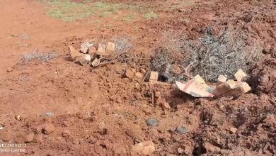 Limpopo Premier highlights weekend service delivery and water access in Vhembe